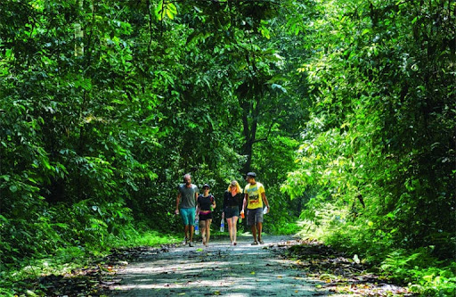 Du khách có thể trải nghiệm đi bộ hoặc đạp xe trong rừng nguyên sinh